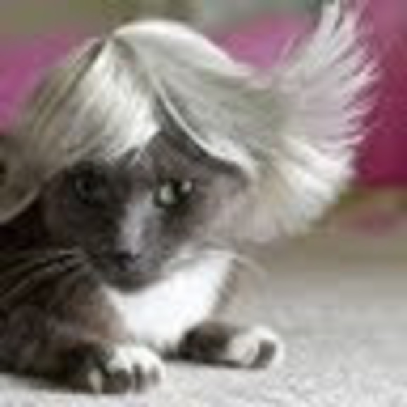 Meet your Posher, Natasha - Picture 1 of 1